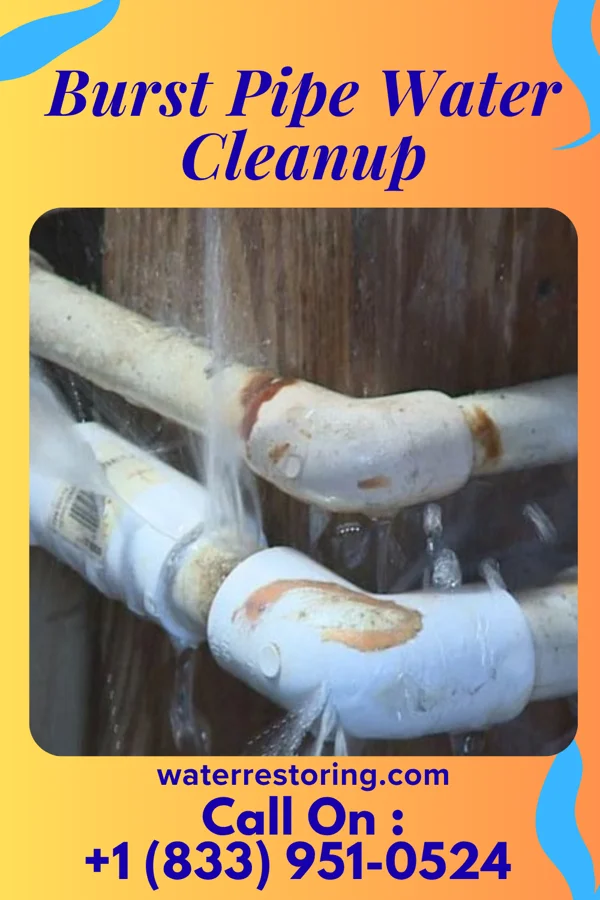 Burst Pipe Water Cleanup in Frank, WV