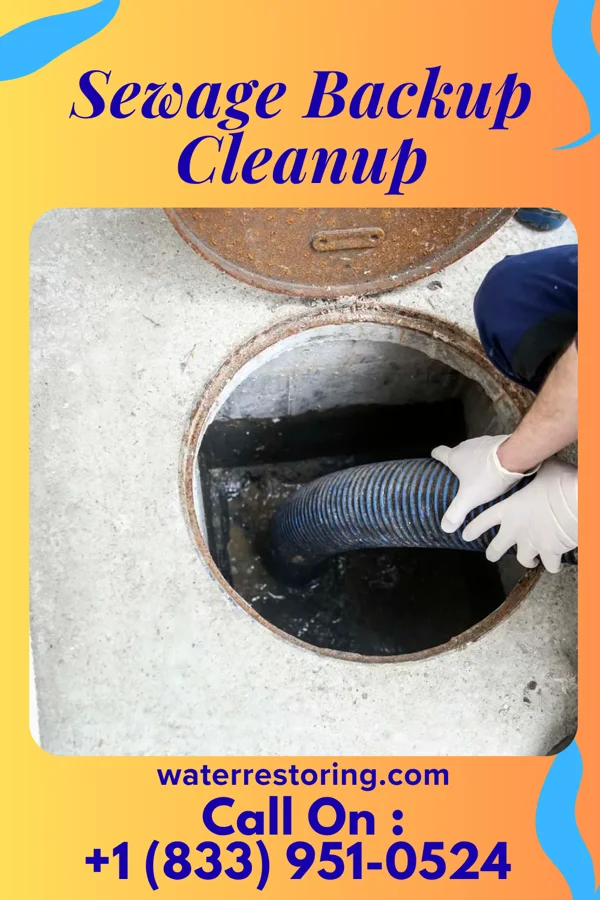 Sewage Backup Cleanup in Frank, WV