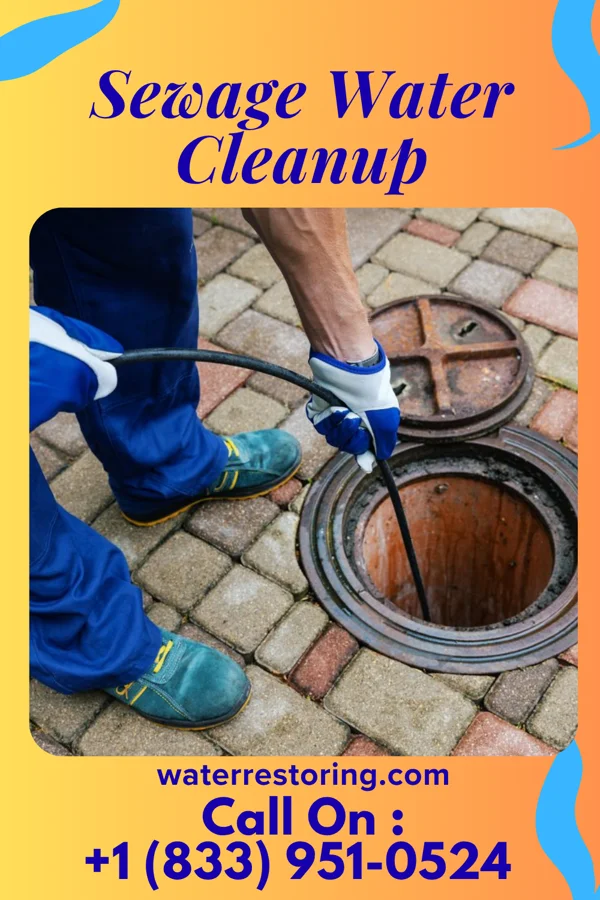 Sewage Water Cleanup in Frank, WV